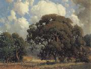 unknow artist, California landscape